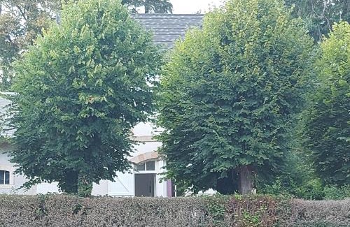 Theneuille House | La maison de Valentine