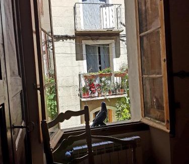 La Roquebrussanne House | La Maison Provençale