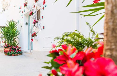 Grottaglie House | La Nghioscia