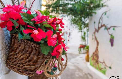 Grottaglie House | La Nghioscia