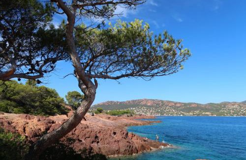 Saint-Raphael House | La Noria