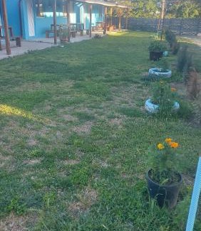 Vadu House | La Olteanu