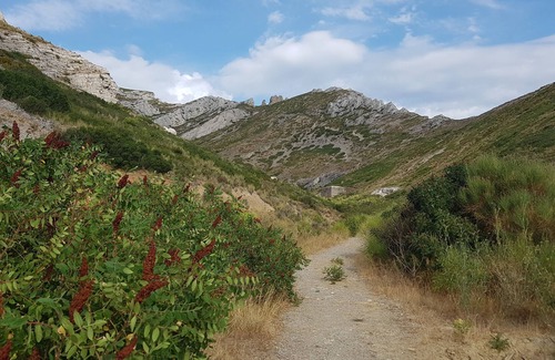 La Panouse House | La Panouse Petite Maison in its green setting