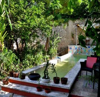 Centro Bed & Breakfast | La Pantera Negra
