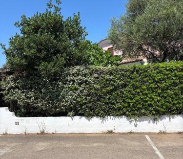 Pittulongu Apartment | La Pavoncella