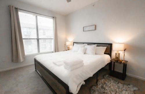 North Austin Civic Association Apartment | La Pequeña Habana en el Domain