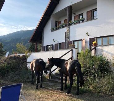 Borzonasca Apartment | La Perla dell'AltaVia