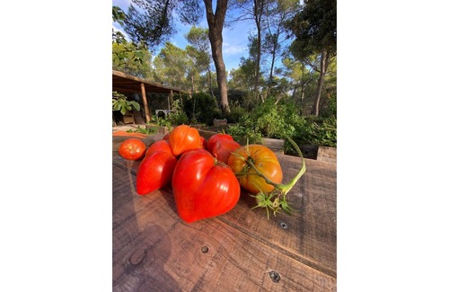 Fontvieille Cottage | La Planque - A paradise in the heart of nature - 2 bedrooms - swimming pool