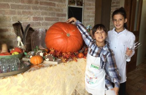 Motta di Livenza House | La Prediletta