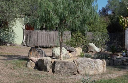 Olmeto House | La rose bleue (2)