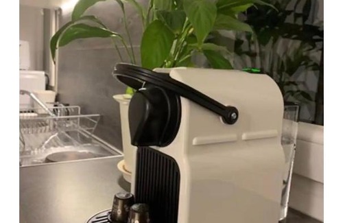 Krutenau Apartment | La Rose