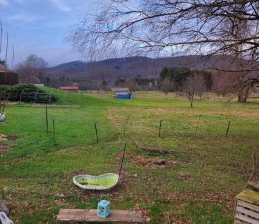 Ep 4 - Saint-Nicolas Bed & Breakfast | La roulotte tiny house du Mond'idéal