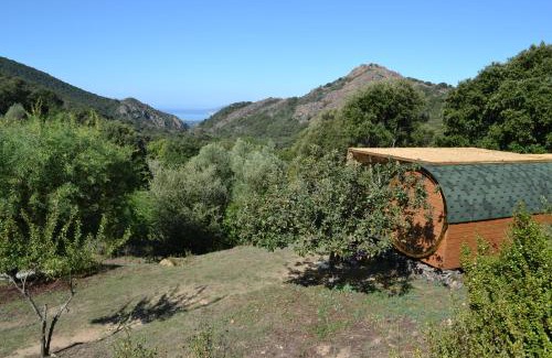 Cauro Ski Chalet | LA ROULOTTE VITICOLE