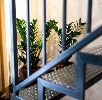 Pulsano House | La Scunnuta Apartment