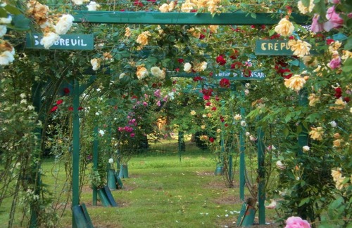 Mareuil-Sur-Lay-Dissais Bed & Breakfast | La Suite Venise au Château de Saint-André