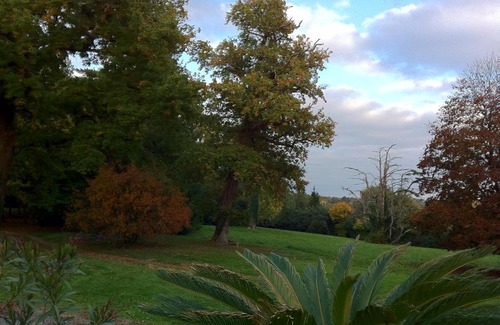 Mareuil-Sur-Lay-Dissais Bed & Breakfast | La Suite Venise au Château de Saint-André