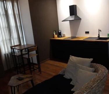 Clermont-Ferrand Apartment | La suite zen