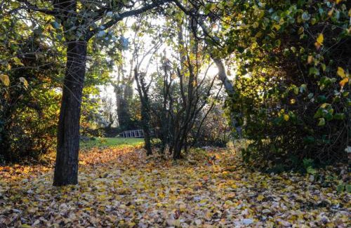 Surville House | La Tireliere, longère bord de mer avec jardin
