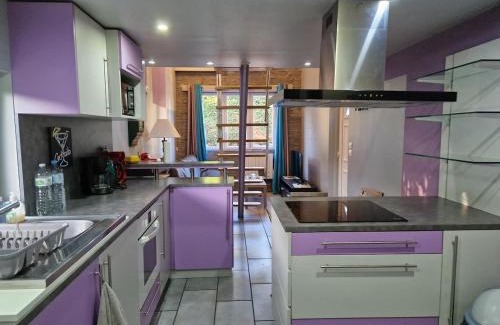 Honguemare-Guenouville House | La tranquille maison bleue