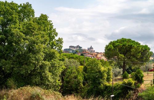 Montefiascone Apartment | La Tuscia da Quassù