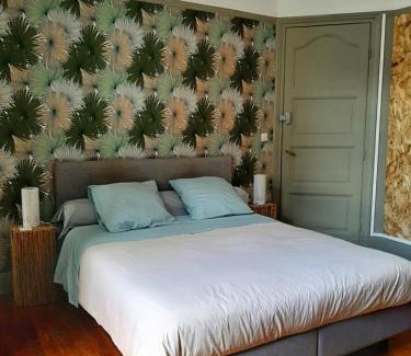 Lille Centre Ville Bed & Breakfast | La Villa 30