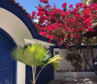 Punta Cancun Hotel | La Villa du Golf à Cancun Hotel Boutique