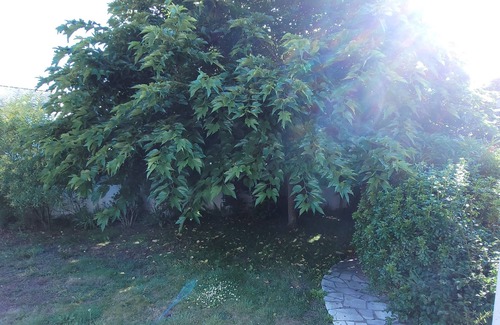 Le Croisic Villa | La Villa Jabadao