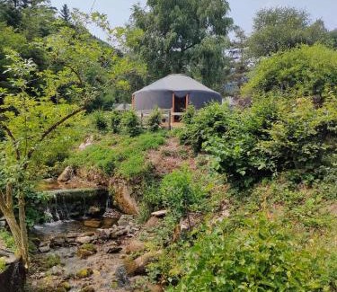 Freland Other | la Yourte des Bibis