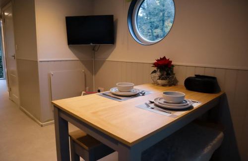 Maidstone Apartment | Lady Florence, Maidstone a Unique River Boat with Castle Views