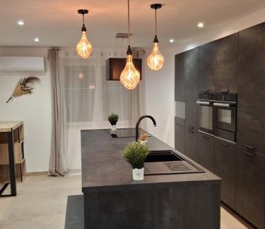 Caissargues House | LaDy ROSE NÎMES, House for 14 people