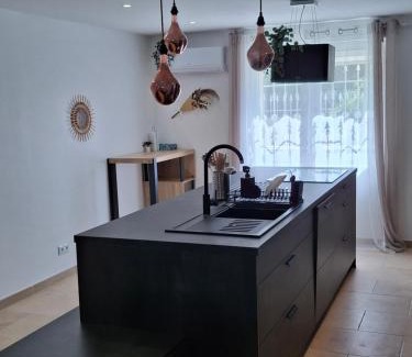 Caissargues House | LaDy ROSE NÎMES, House for 14 people