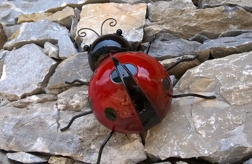 Valdieri House | LADYBIRD HOUSE - Code CIR00423300008