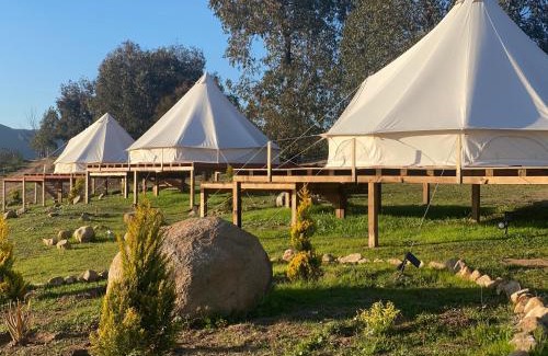 Valle de Guadalupe Other | Lago Valle Wine Glamping