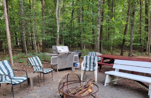 Mineral House | Lake Anna House in Lake Access Community with beach,pavillion& launches.