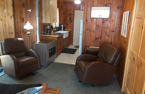 Longville Cabin | Lake front cottage - Brainerd Lakes Area - beautiful sandy beach, pristine view!