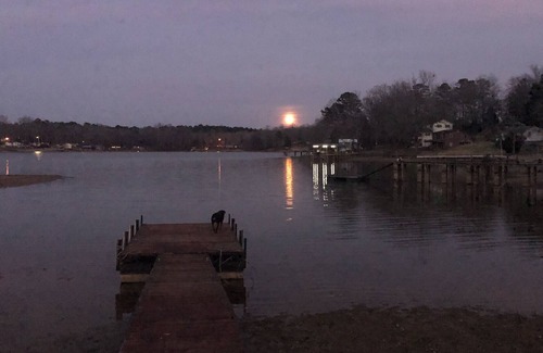 Waterloo House | Lake Greenwood Waterfront Home: fenced yard, private boat ramp & dock