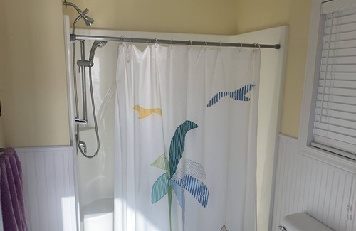 Cadillac House | Lake Mitchell Cottage- Sleeps 10-12 comfortably. Great location with Sandy Beach