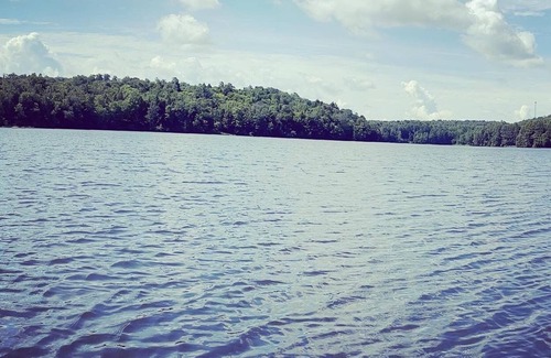 Laporte Cottage | Lake Mokoma Cottage