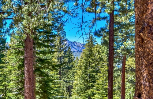 Country Club Estates Cabin | Lake Tahoe Vacay 🛶 | Forest Views 🌲 | Fireplace 🔥 | Foosball ⚽ | Skiing 🎿🗻