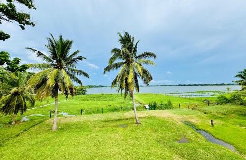 Yodakandiya Bed & Breakfast | Lake View Cottage