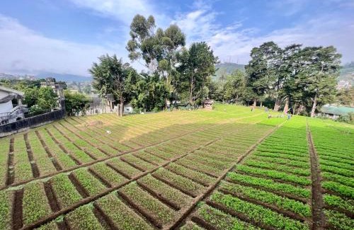 Nuwara Eliya Apartment | Lake View Residencies