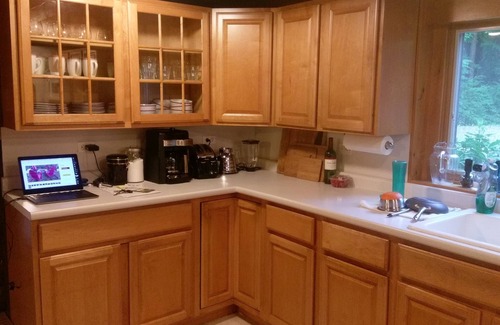 Rindge House | Lakefront 3BR Log Cabin w/Dock and Fire Pit