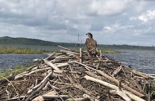 Loon Lake House | Lakefront Cabins for Rent, with private marina - Cabin 5