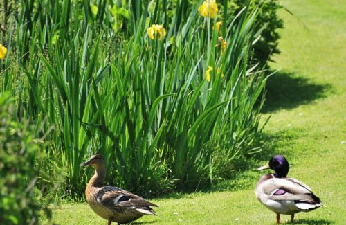 Callington House | Lakeview Cottage