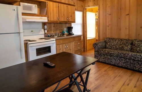 Cadiz Ski Chalet | Lakeview Cozy Chalet 1 - Bring the Dog