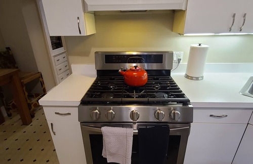 Lakeview Apartment | Lakeview/LincolnPark 2BR/1BA Updated Vintage Apartment in walkable neighborhood