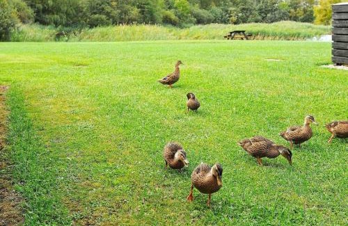 Dageløkke House | Lakeview Retreat in Dagelokke - By Traum Ferienwohnungen