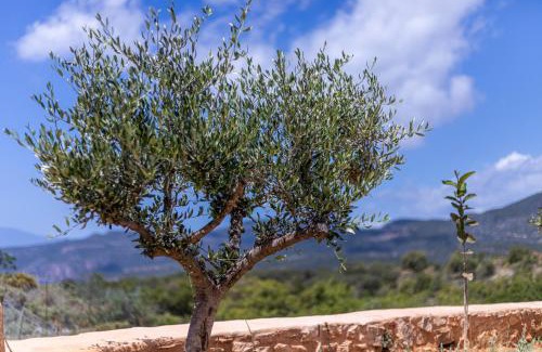 Kardamyli Villa | Lakkos Villas