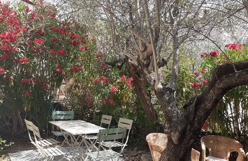 Nyons House | LAMAOLILOU