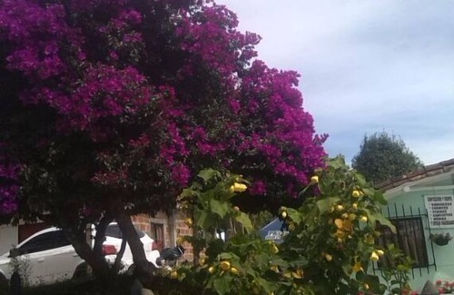 Santa Elena Cabin | Land of Flowers is located in the corregimiento of Santa Elena, within the protected area Río Nare